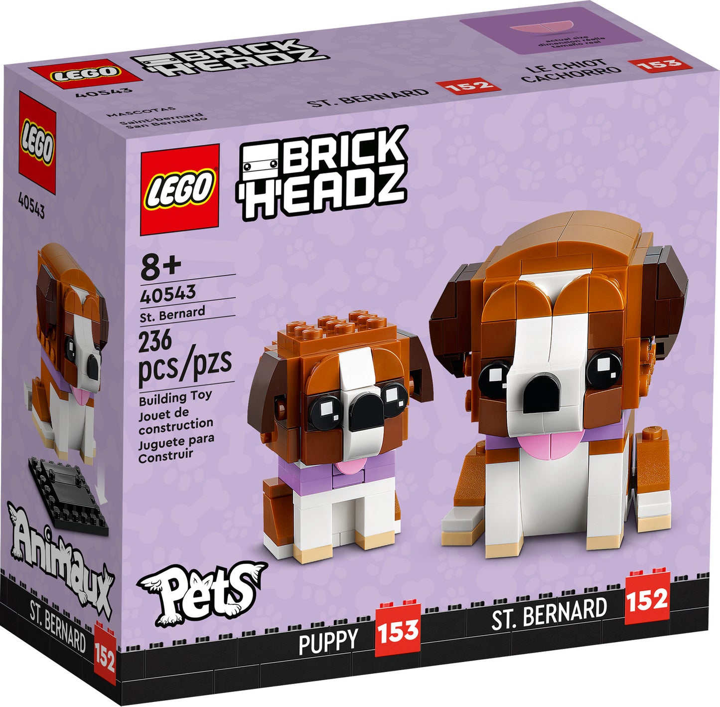 LEGO Iconic: St. Bernard (40543)