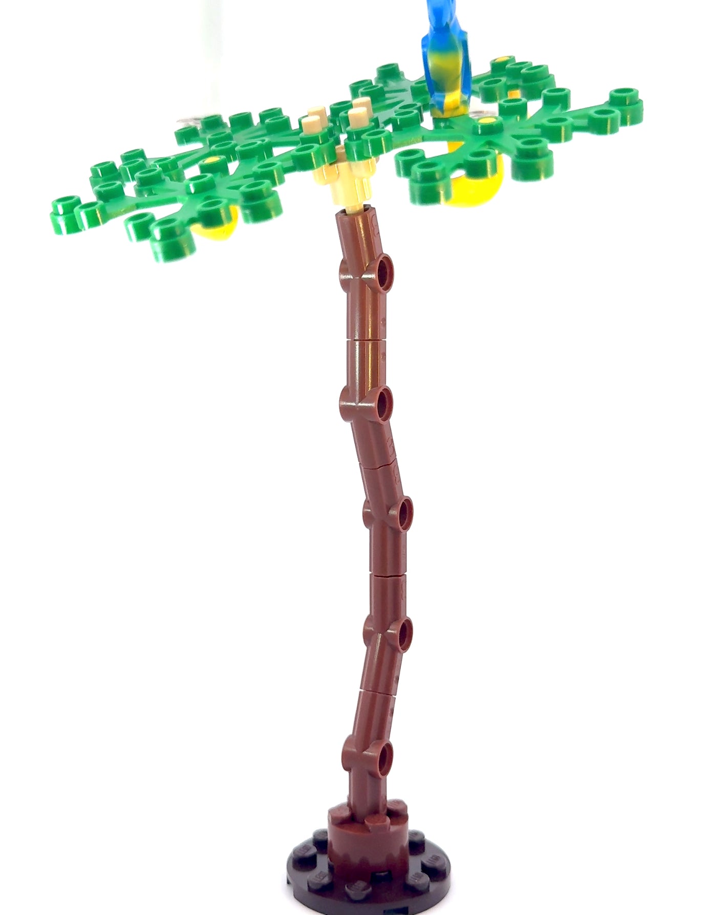 Fruit Tree