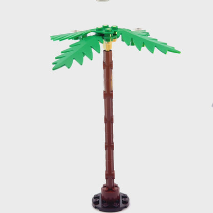 Palm Tree